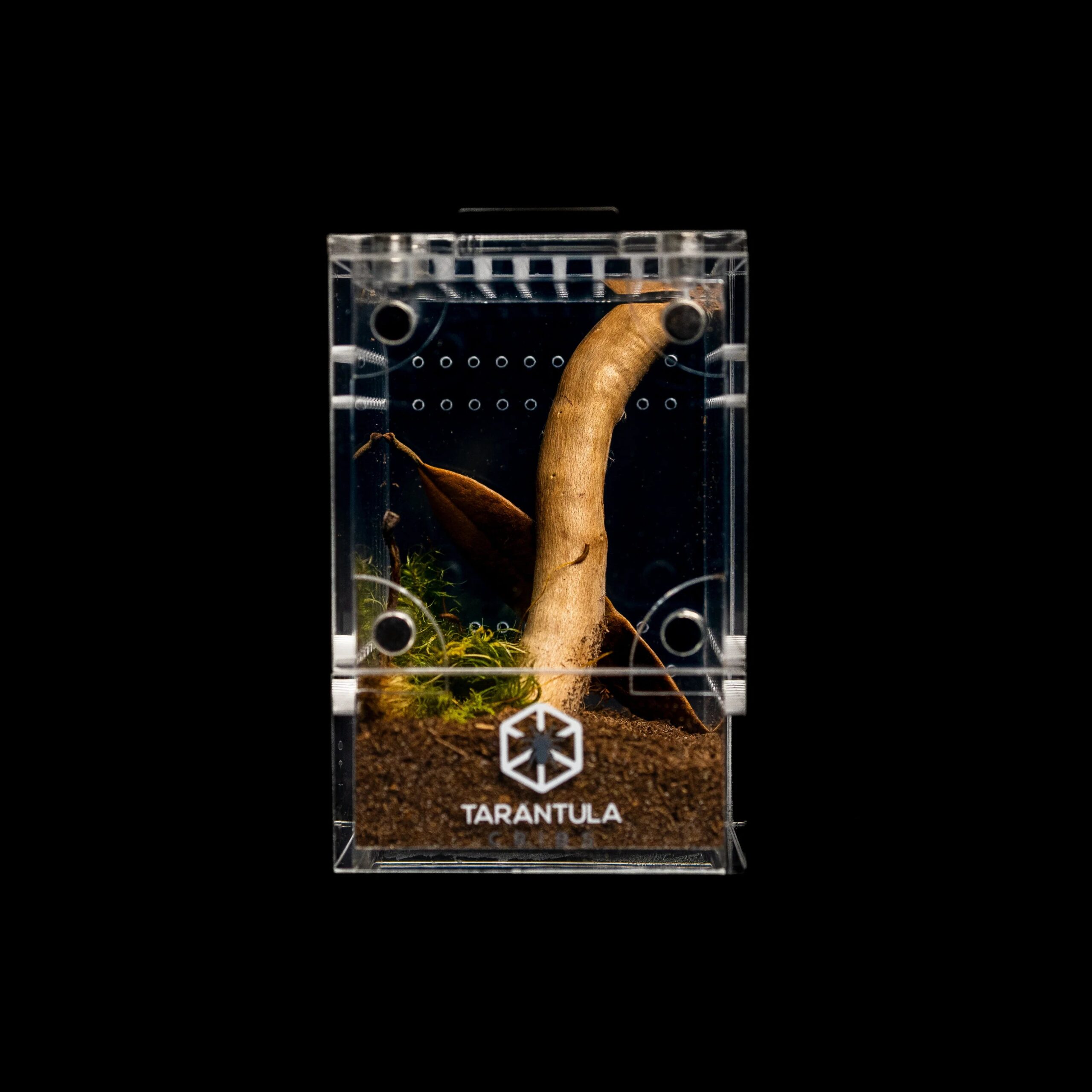 Tarantula Cribs - Treehouse Crib