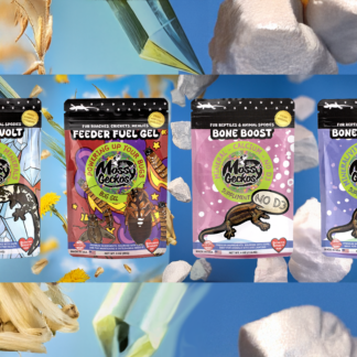 4 Pack of Supplements