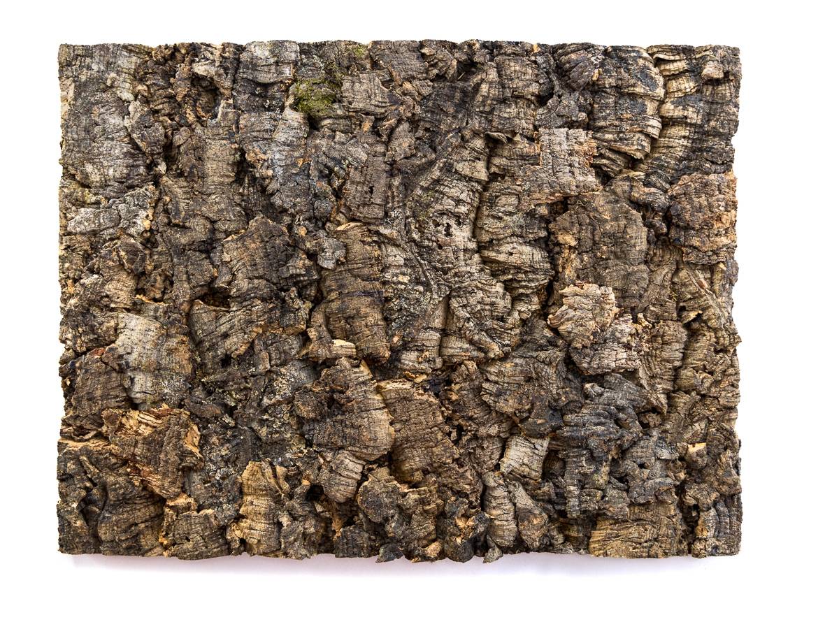 Josh's Frogs Natural Virgin Cork Sheet (18x24 inch)