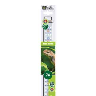 Proten New Dawn LED 6500K